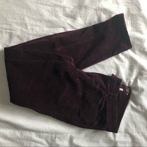 Corduroy Loft Pants